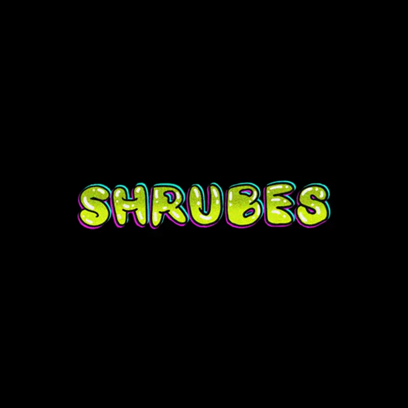 объёмный кислотный леттеринг Shrubes на чёрном